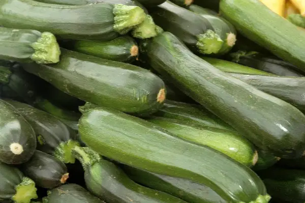 Zucchini Black Beauty Seeds