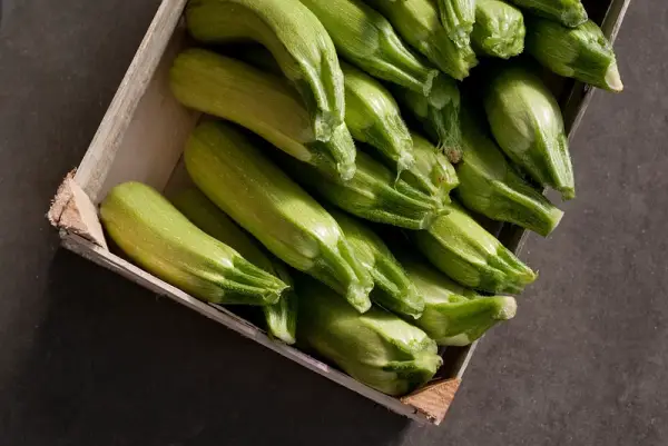 Zucchini Cocozelle Seeds