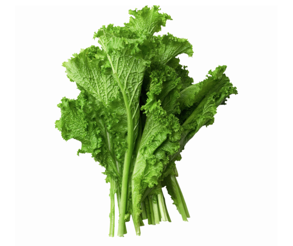 Mustard Greens- Southern Giant Curled Seeds